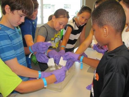 Students conducting a hands-on science activity