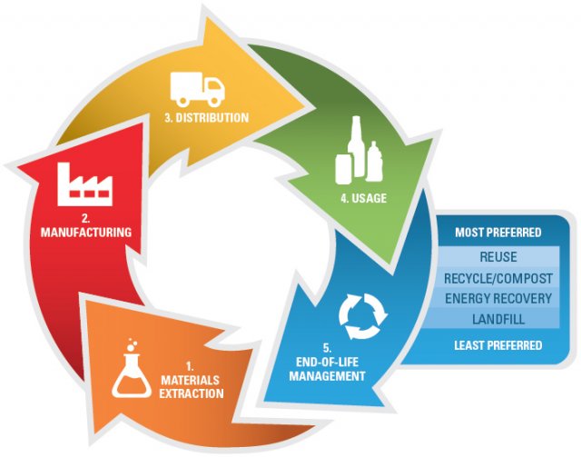 Essay helping the environment