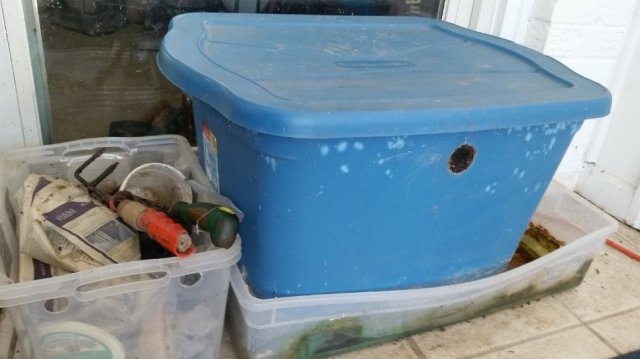 How to Create and Maintain an Indoor Worm Composting Bin 