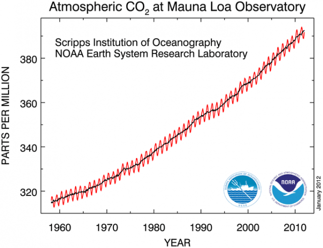Graph showing increasing Atmospheric CO2 at Mauna Loa Observatory from the 1950's to 2010.