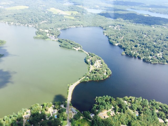 Figure 3: Cyanobacterial Bloom - Monponsett Pond, MA