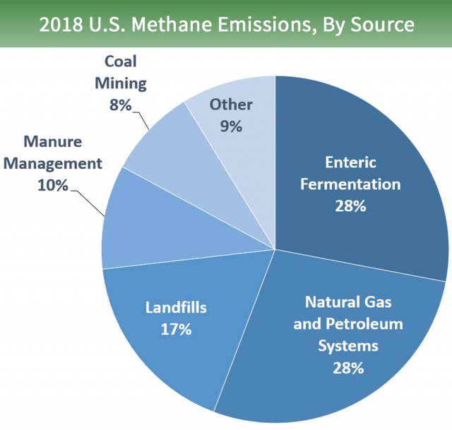Pie chart that shows different types of gases. 28% from Natural Gas and Petroleum Systems. 28 from Enteric Fermentation. 17% from Landfills. 10% from Manure Management. 8% from Coal Mining. 9% from Other.