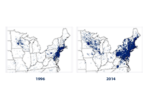 Side-by-side maps of the Northeast and Upper Midwest in 1996 and 2014, showing a dot for every reported case of Lyme disease.
