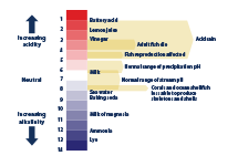 Diagram illustrating the pH scale with reference to several common substances.
