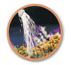 watering can watering can