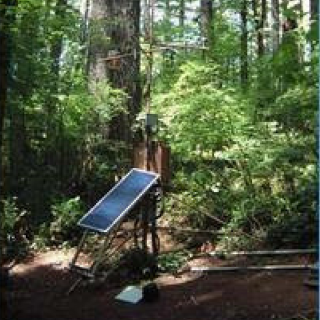Meteorological station in closed-canopy forest stand.