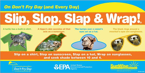 https://www.epa.gov/sites/production/files/sunwise/images/DFD_Poster.jpg