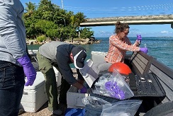 David Katz and Autumn Oczkowski collect water samples for nutrients and contaminants of emerging concern from the San Juan Bay estuary.