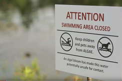 harmful algal bloom warning sign