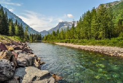 A view of a rocky riverbank with coniferous trees and mountains in the distance