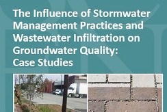 green infrastructure report cover detail