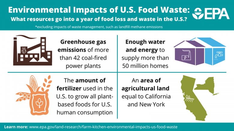 sources of domestic waste