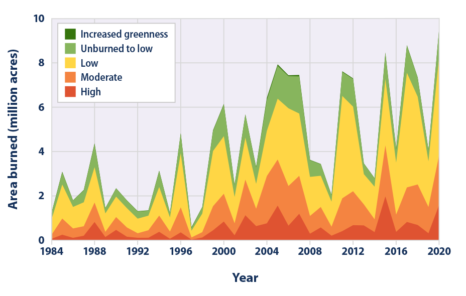 Stacked area graph showing the distribution of acreage in the United States burned by large wildfires, based on the level of damage caused to the landscape. This graph extends from 1984 to 2020 and provides a measure of wildfire severity.