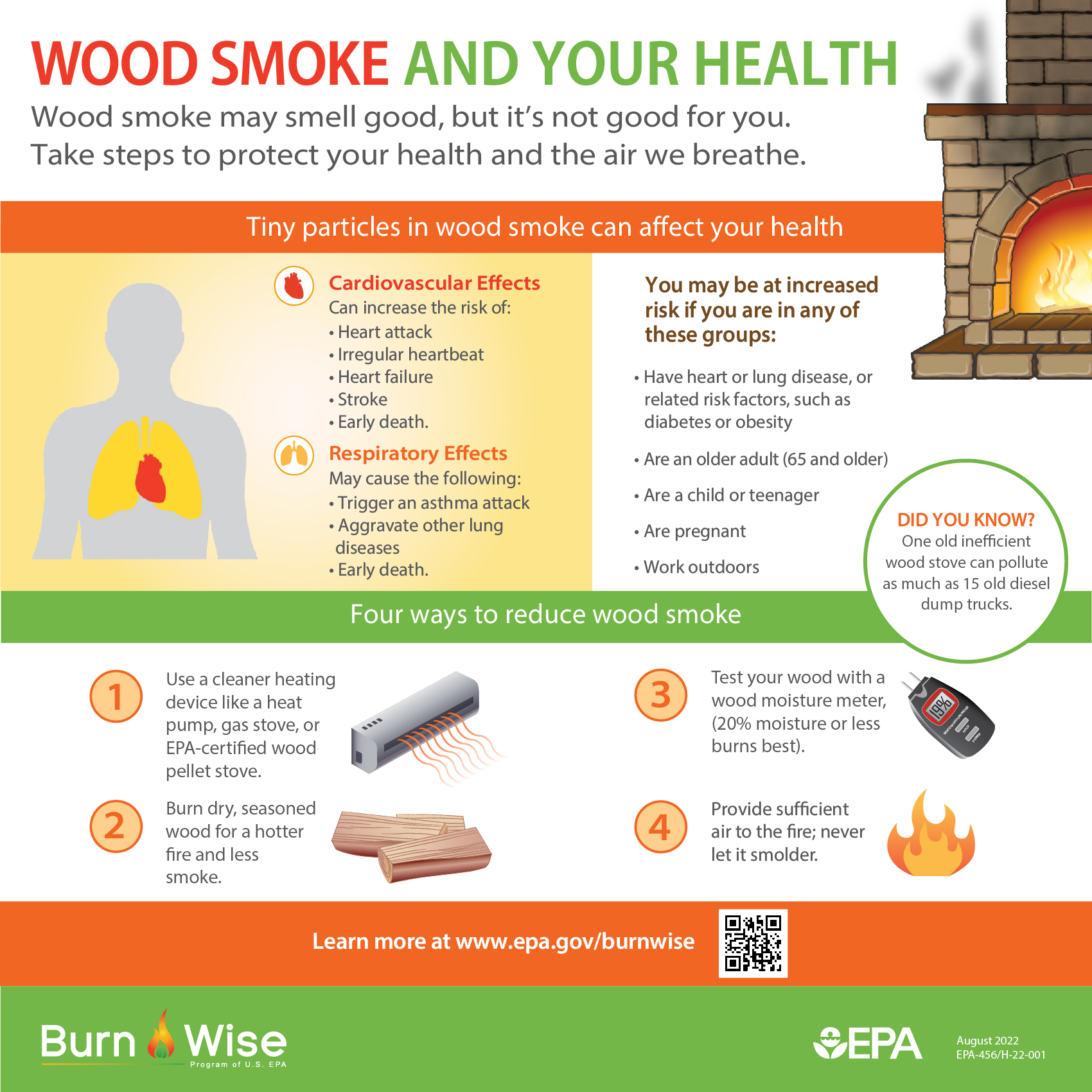 The burning question: How to tackle air pollution and health threats from wood  stoves?