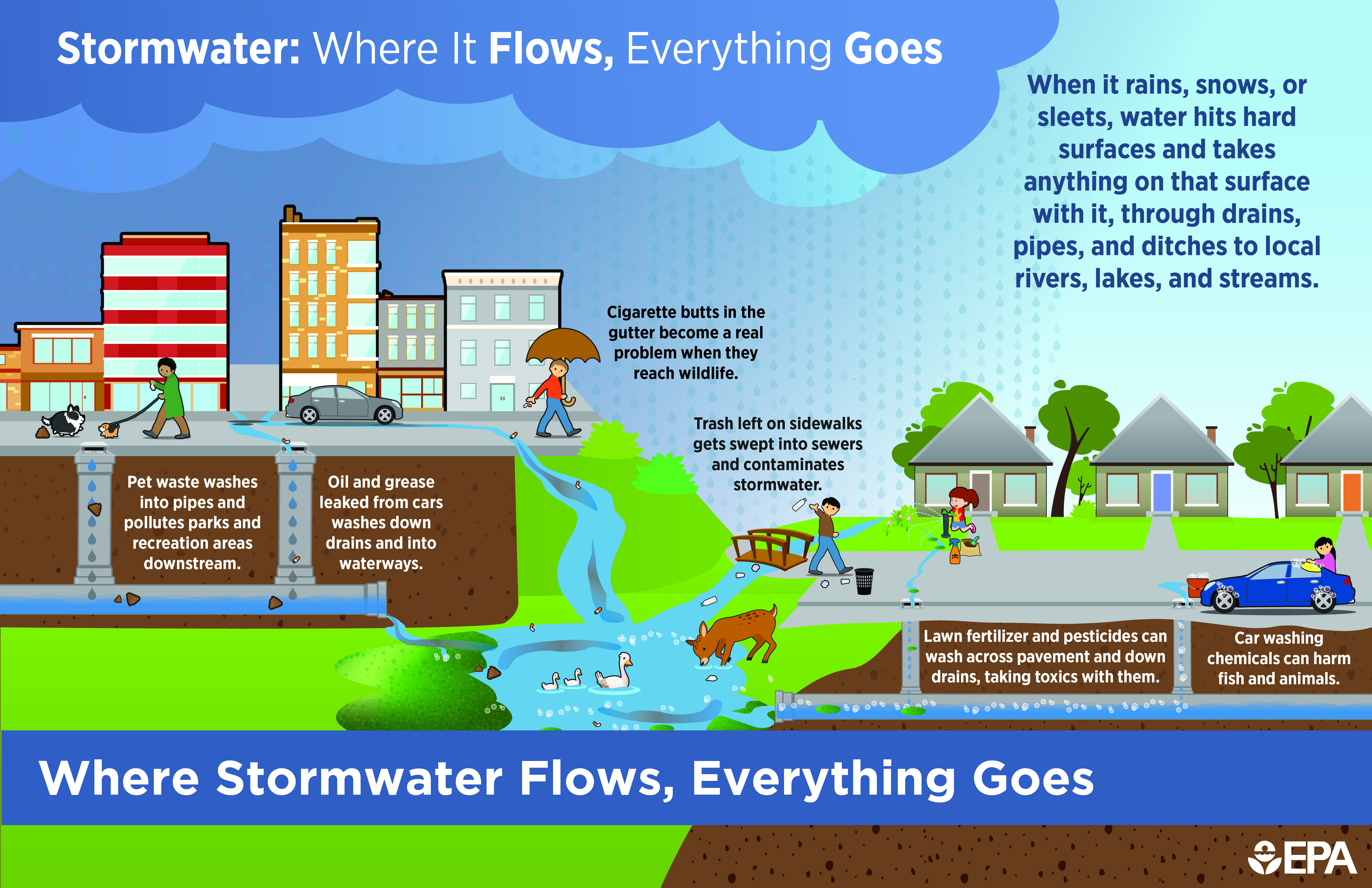 Manage Election Anxiety: Watch Post 10 Unclog Storm Drains