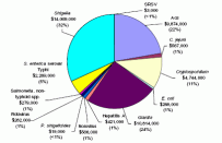 Image from the report depicting a chart that was used to explain the result collected.