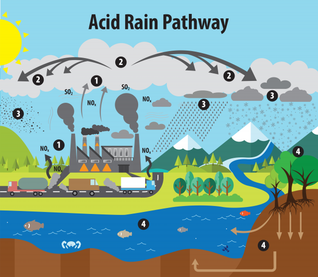 Infographic depicting how acid rain is created and moves through the environment