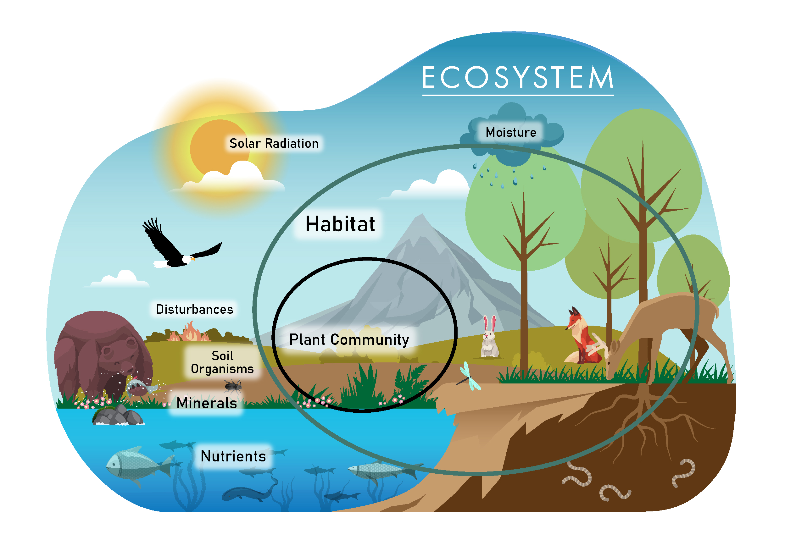 Air Ecosystem Was Es Ist Eigenschaften Und Typen CMVUL Air Ecosystem Was Es Ist Eigenschaften Und Typen CMVUL