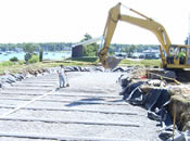 Spreading Stone Over Pipe Island Wharf (Photo Credit - Buzzards Bay National Estuary Program) Spreading Stone Over Pipe Island Wharf (Photo Credit - Buzzards Bay National Estuary Program)