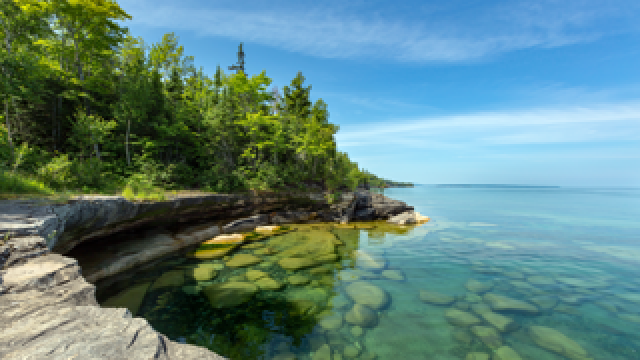 Trees overlooking water.