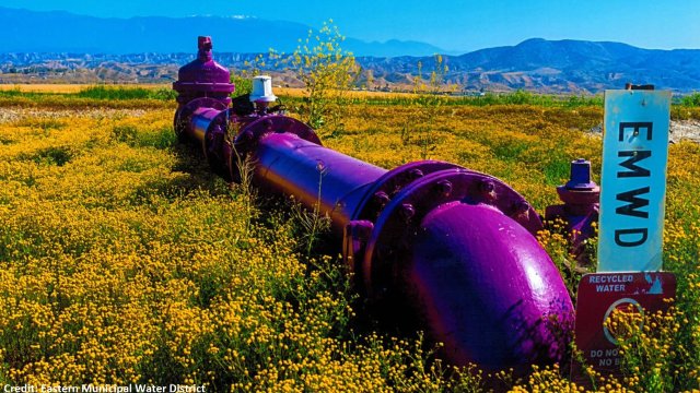 Very large purple metal pipe shown in wide field of wildflowers. Mountains are seen in the distance.