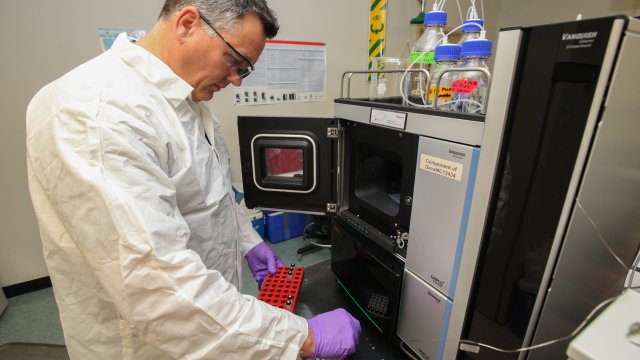 A male scientist preparing an assay for testing
