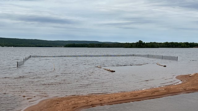 fencing in the bay