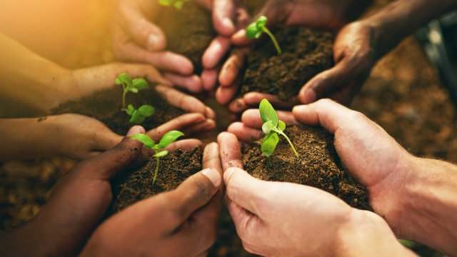Hands holding soil with plant sprouts in a circle