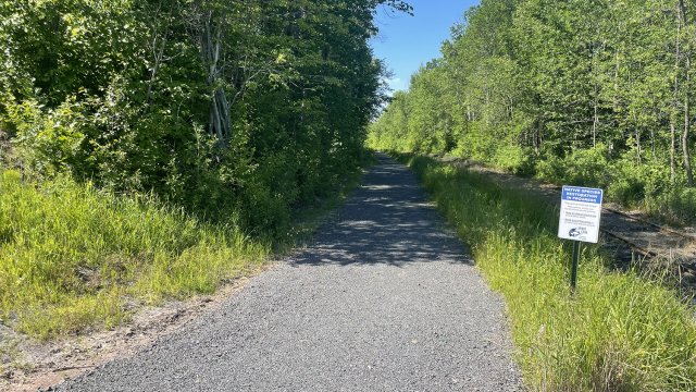 Pedestrian trail with native plant restoration.