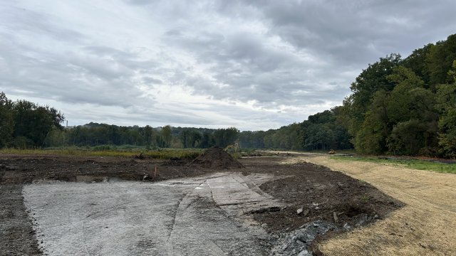View of the site looking north, left side of the picture shows compacted fill in the upland area, right side of the picture shows ditch that was recently seeded