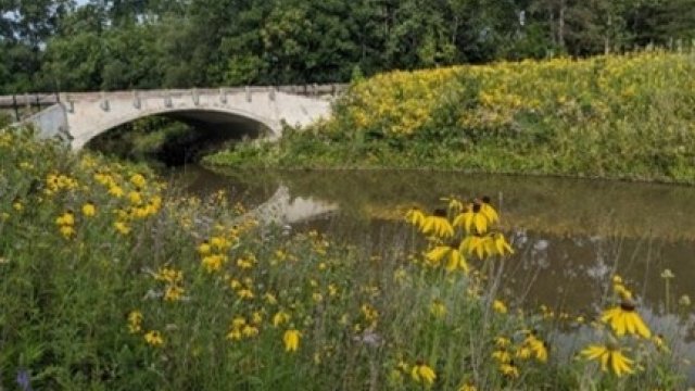 Image showing flowers and waterway of The Rouge Oxbow