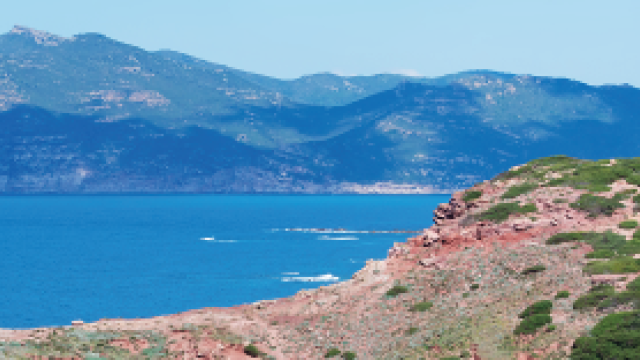 Seascape for nonroad