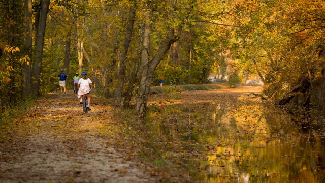 Bicyclists on a wooded path in the Fall
