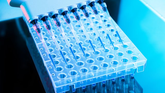 Pipettes and 96-well plate for testing