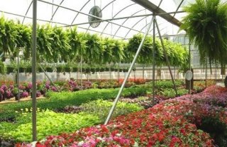 Photo of greenhouse in Jackson County, North Carolina