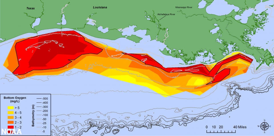 This is a map of the 2021 hypoxic dead zone in the Gulf of Mexico.
