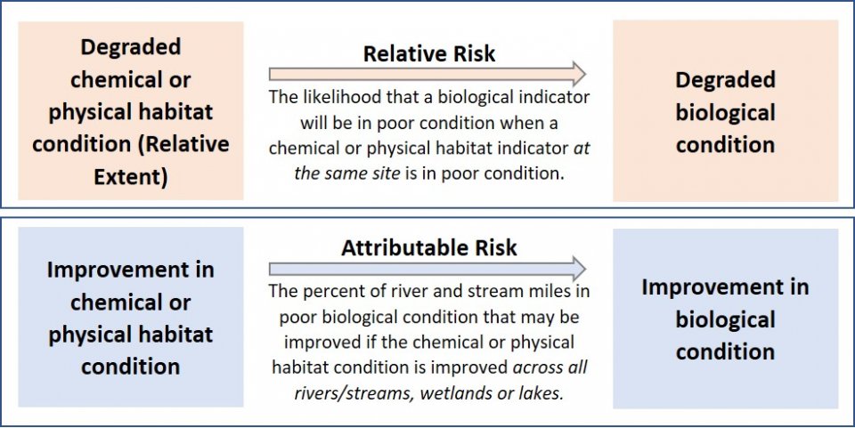 Figure showing that Relative Risk is the association between stressors and poor biological condition; and that attributable risk is the association between improving stressors and improving biological condition.