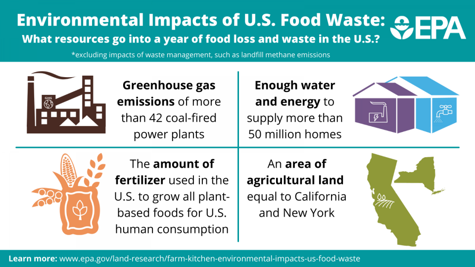 Graphic shows environmental impacts of a year of food waste in the U.S.