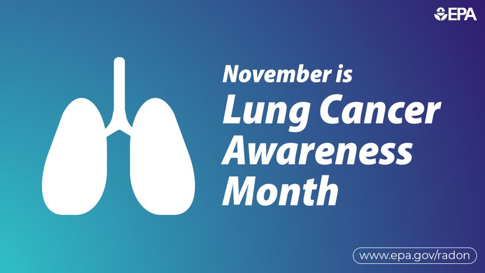 image of lungs with text November is Lung Cancer Awareness Month