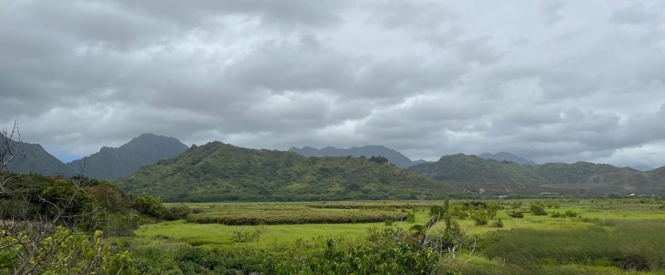 Kawainui Marsh