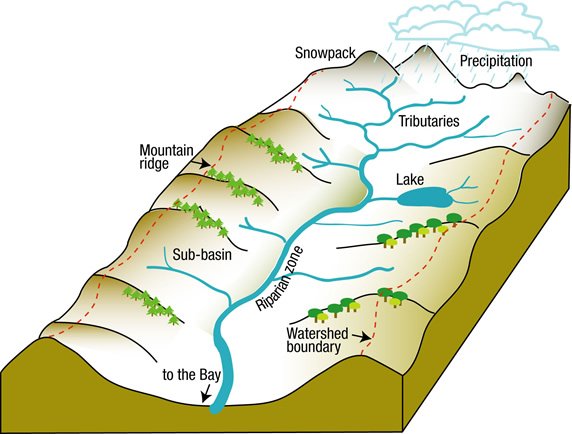 Purposes of reference conditions illustrated in a river basin