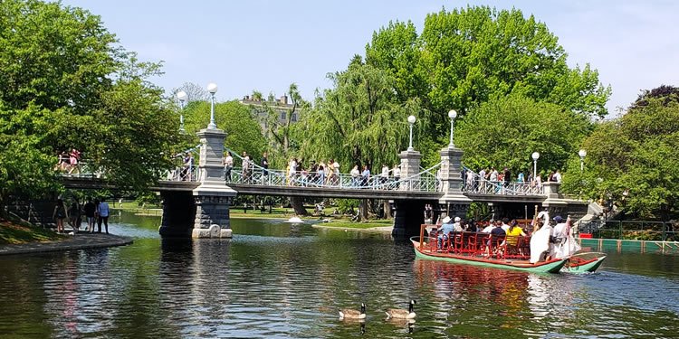 Swan boat going under Boston Public Garden Foot Bridge