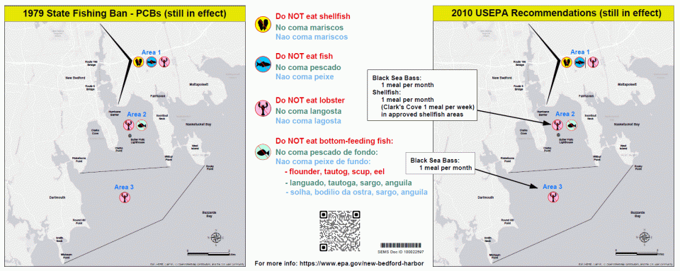 Learn which locally caught fish and shellfish are safe to eat at New Bedford Harbor
