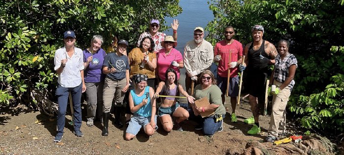 EPA staff plant mangroves in the San Juan Bay estuary.