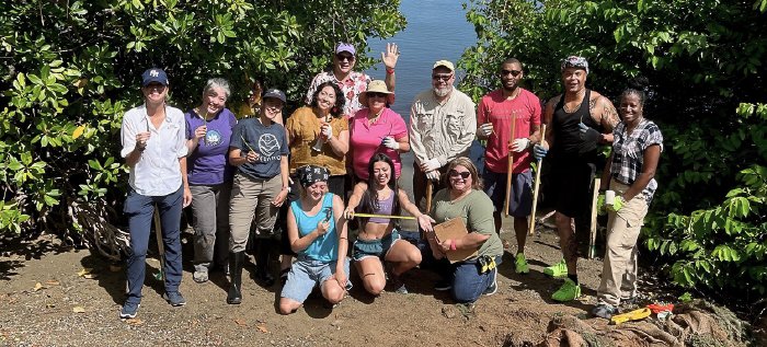 EPA staff plant mangroves in the San Juan Bay estuary. 