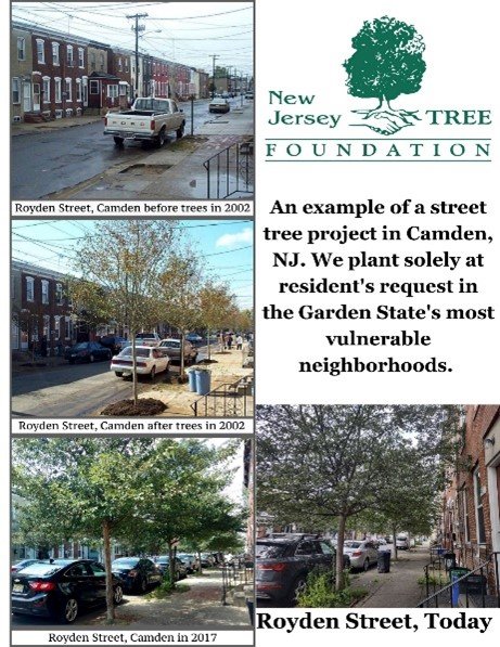 Picture of the New Jersey Tree Foundation's work in Camden, NJ from 2002 to 2022.