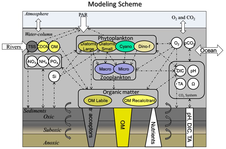 Chart of the CGEM Modeling Scheme