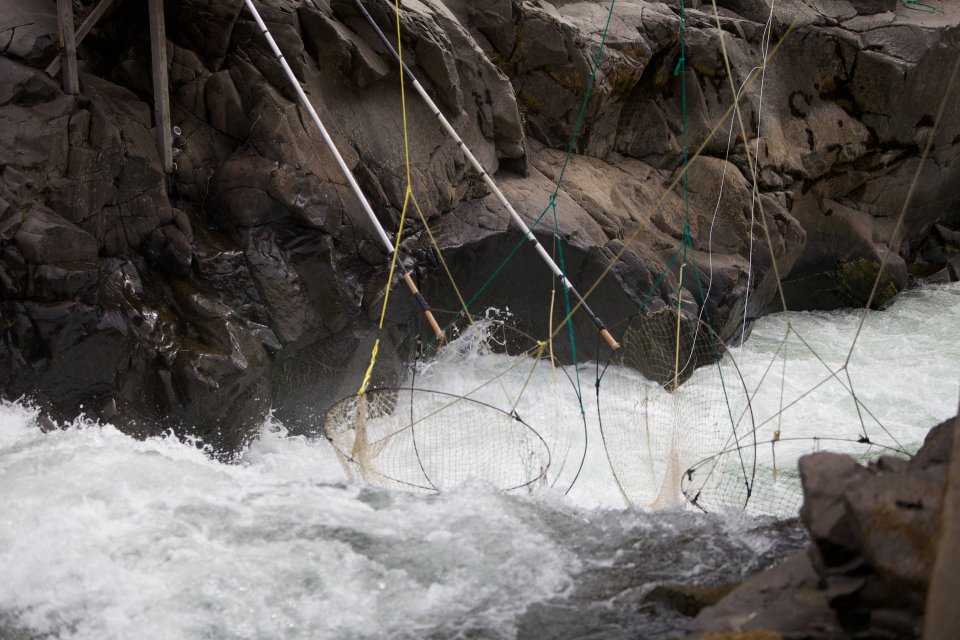 Traditional net fishing in a river