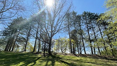 east palestine city park clear sky