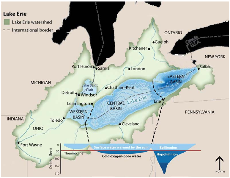 graphic depiction of the Lake Erie watershed, including major cities: Detroit and Port Huron, Michigan, Toledo and Cleveland, Ohio, Fort Wayne, Indiana, Erie, Pennsylvania, Buffalo, New York, and in Ontario, Windsor, Chatham-Kent, London, Kitchener, and Guelph.     Also shown on the lake itself are the depth contours and the boundaries of the western, central, and eastern basins.